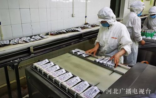 秦皇岛 抢订单拓市场食品企业生产忙