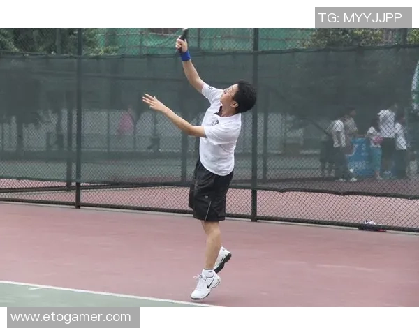 杨伟独家分享网球心得与技巧助你提升球技的全方位指南